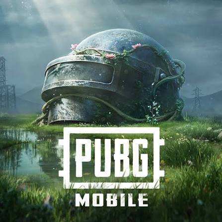 PUBG Victory Formula: From First Landing to Chicken Dinner